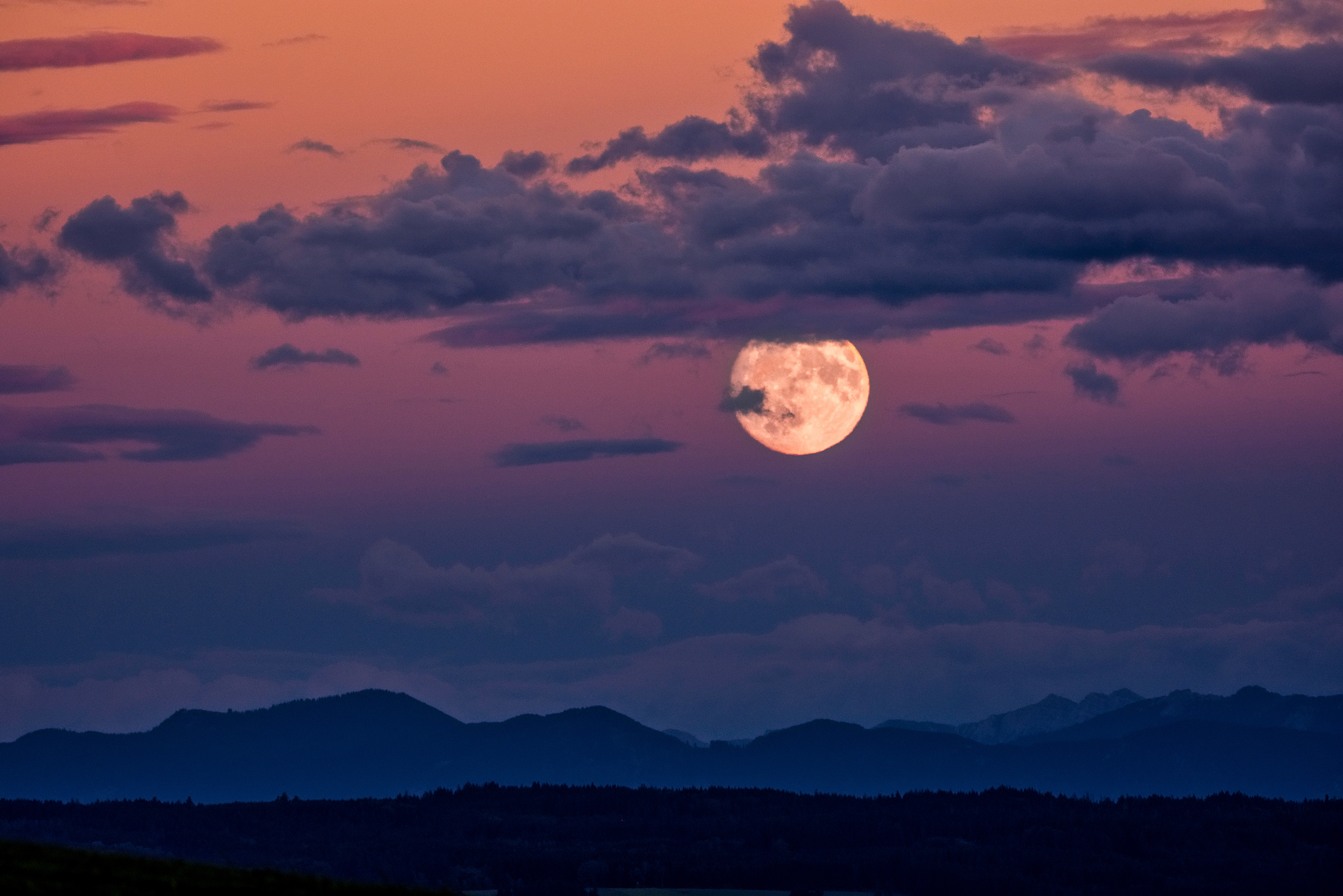 Nightwalk til Sunrise – was in dieser besonderen Nacht wirklich passiert